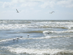 Schoorl 2011